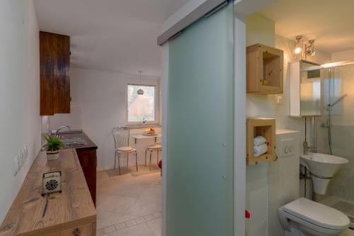 a bathroom with a sink and a toilet in a room at Studio Sergio in Bled