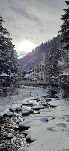 une rivière enneigée devant un bâtiment dans l'établissement Ananiko, à Bordjomi