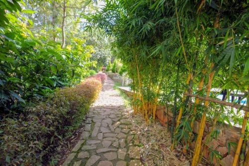 a stone path in a garden with trees and a fence at The Blossom Resort - Chikmagalur in Chikmagalūr