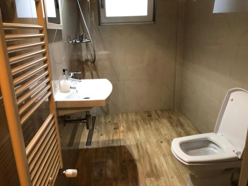 a bathroom with a toilet and a sink at Pension Aroma in Baile Felix