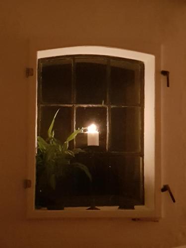 a candle in a window with a plant at 4B Österlen Bed & Breakfast in Tomelilla