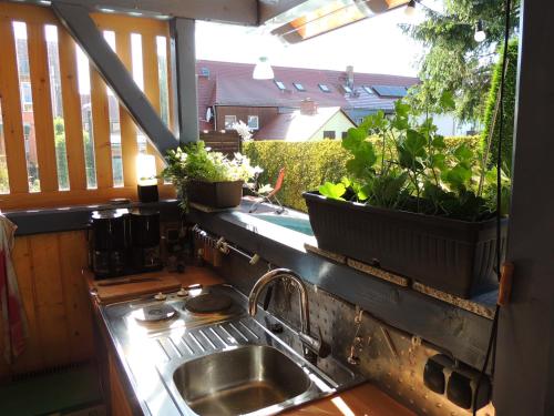 una cocina con fregadero y algunas plantas en una ventana en Pension 19 en Pirna