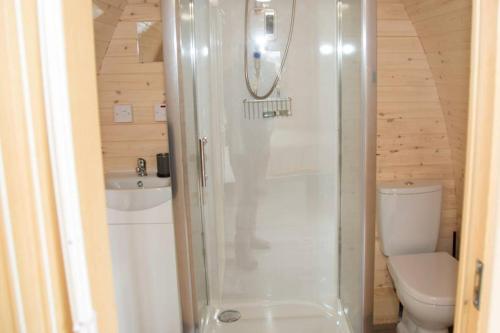 een badkamer met een douche en een toilet bij Isla Pod, Kilry eco pods in Blairgowrie