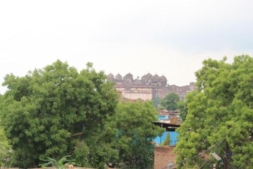 a view of a city with trees in the foreground at Orchha Best Homestay in Orchha