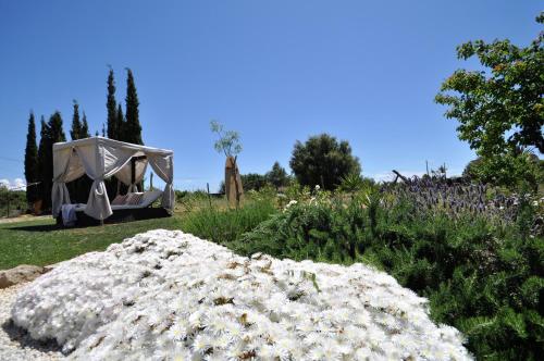Taman di luar Finca SON RUBI a los pies de Serra Tramuntana