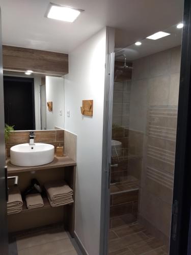 a bathroom with a sink and a shower at Les Terrasses de Valensole in Valensole