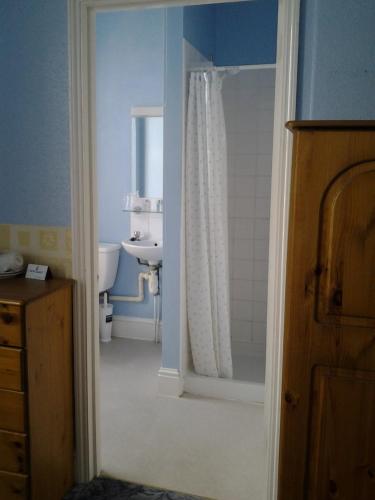 a bathroom with a toilet and a sink and a shower at The Mount View Hotel, Bed & Breakfast in Penzance