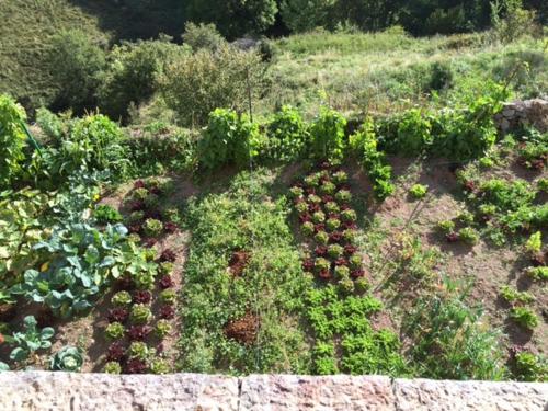 a garden with a bunch of plants and flowers at Cal Xesc in Castellar de NʼHug