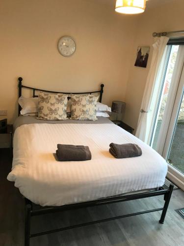 Ty Mynydd Lodge Holiday Home photo 3