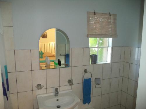 a bathroom with a sink and a mirror at Heatherdale Guesthouse & Shuttle Services in Pretoria