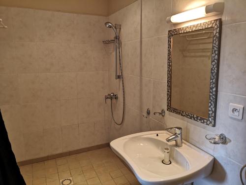 uma casa de banho com um lavatório, um chuveiro e um espelho. em La Ferme de Valeuse em Morienval