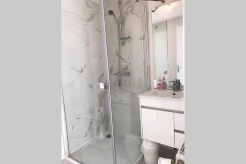 une salle de bain avec douche et lavabo dans l'établissement Tout en Élégance - Pont Rousseau (Nantes), à Rezé