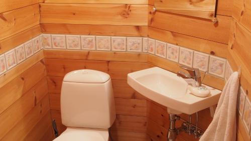 a small bathroom with a toilet and a sink at Hemsedal Høyfjellssenter in Hemsedal