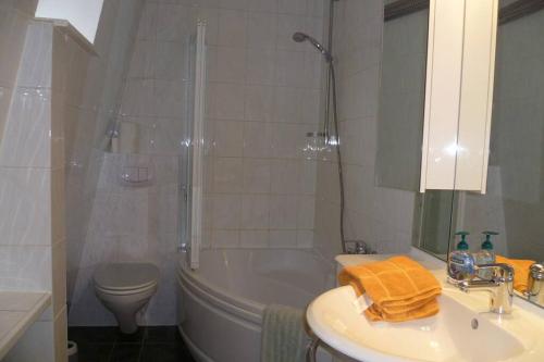 a bathroom with a shower and a sink and a toilet at Villa Greve - Maisonette Suite in Bad Salzuflen