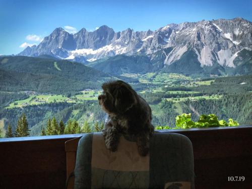 Paisaje cerca de este apartamento