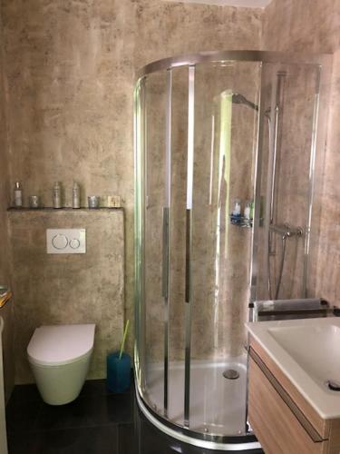 uma casa de banho com um chuveiro, um WC e um lavatório. em B&B on Top em Sirnach