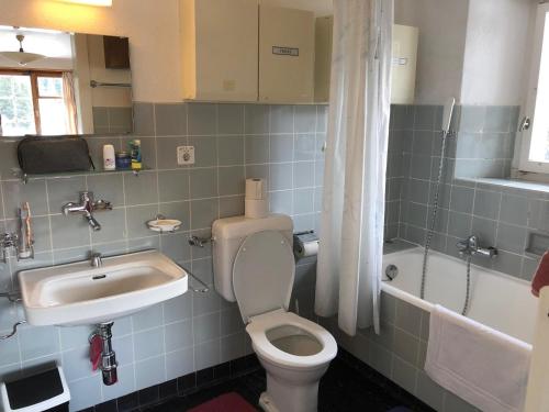 a bathroom with a toilet and a sink at La Ruada (701 Bo) in Lenzerheide