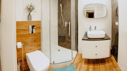 La salle de bains est pourvue d'une douche, de toilettes et d'un lavabo. dans l'établissement Apartament Silence Triventi Szmaragd, à Karpacz