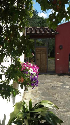 a door to a building with flowers in front of it at Il Pezzatino in Rufina