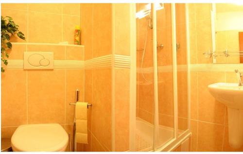 ein Bad mit einer Dusche, einem WC und einem Waschbecken in der Unterkunft Pension Korona in Púchov