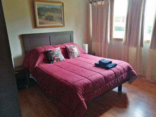 1 dormitorio con 1 cama con manta rosa y almohadas en Bed and Breakfast Como en Casa en Villa La Angostura