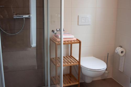 a small bathroom with a toilet and a shower at Cafe Hehrlich - Cafe, Pension & mehr in Bad Tennstedt