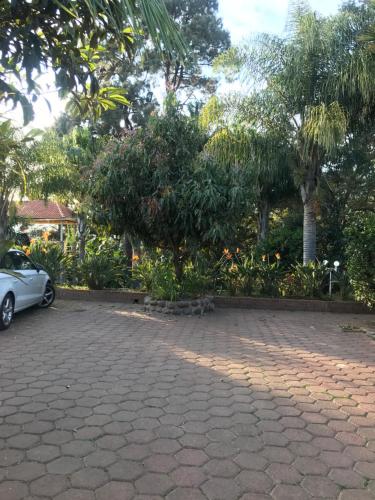 a car parked in a parking lot with trees at Hotel El Mirador y Jardin in Tlayacapan
