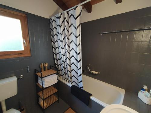 a bathroom with a tub and a toilet and a shower at Chalet Bissetrot in Crans-Montana
