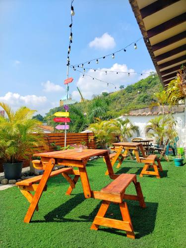 カリにあるRoof Hostelの芝生の上のピクニックテーブルとベンチの集団