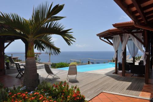 a villa with a swimming pool and a palm tree at Infiniti Blue in Bouillante
