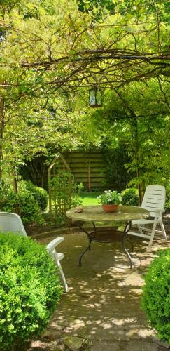 Taman di luar GUESTHOUSE vakantiehuis in een mooie tuin in het centrum van Zuidlaren!