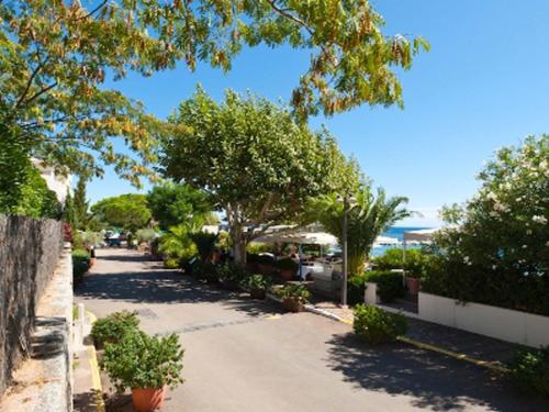 een straat met bomen en planten op een zonnige dag bij Les Hauts de Pinarello in Sainte-Lucie de Porto-Vecchio