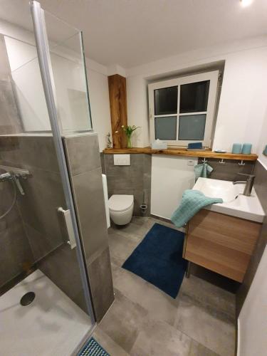 a bathroom with a shower and a sink and a toilet at Nord-West in Schönhagen