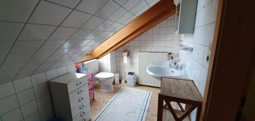 a small bathroom with a sink and a toilet at Sonnige ruhige Dachzimmer inkl WIFI plus Kaffee mit WG Dusche und neuer Küche in Lörrach