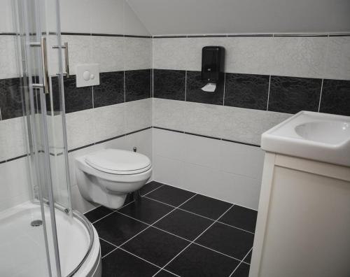 łazienka z toaletą i umywalką w obiekcie Ta Fabrika Restavracija,pizzerija in prenočišča w mieście Dravograd