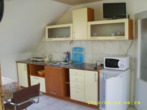 eine kleine Küche mit einer Spüle und einer Mikrowelle in der Unterkunft Apartmány u Jitky in Zlín