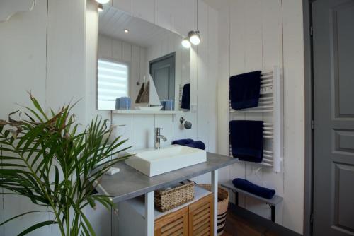 une salle de bain avec un lavabo et un miroir dans l'établissement Gîte Timellen - piscine privative chauffée- 300m parcours de Golf Cassy Lanton, à Lanton