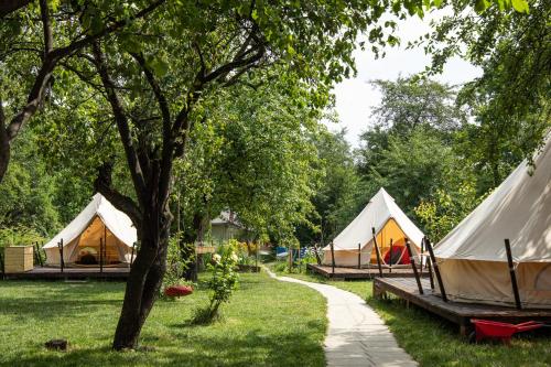 grupa namiotów w trawie z ścieżką w obiekcie Dragonfly Gardens Urban Glamping Brasov w Braszowie