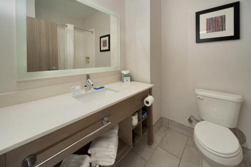 a bathroom with a toilet and a sink and a mirror at Holiday Inn Express & Suites Memphis Arpt Elvis Presley Blv, an IHG Hotel in Memphis