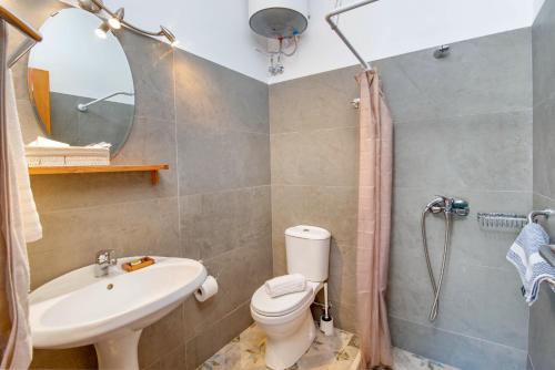 a bathroom with a toilet and a sink and a shower at Harry's Studios 1 in Gaios