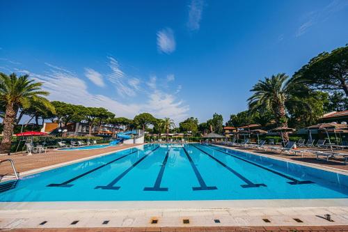 een groot zwembad met stoelen en palmbomen bij Golfo del Sole Hotel in Follonica