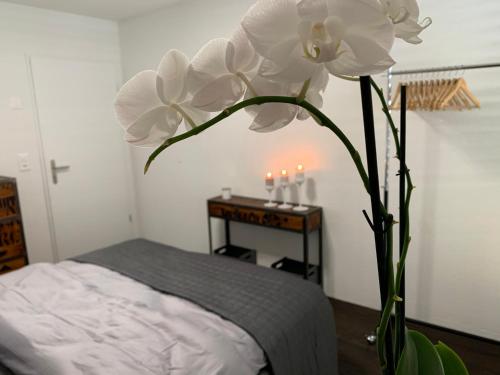 un jarrón con una gran flor blanca en un dormitorio en Central & Elegant Room in Biel, en Biel