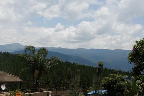 a view of a mountain range with a palm tree at Yorkdale Cabin in Sabie