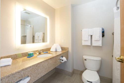 W łazience znajduje się umywalka, toaleta i lustro. w obiekcie Holiday Inn Express Hotel & Suites Detroit-Utica, an IHG Hotel w mieście Utica