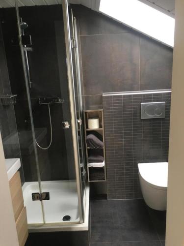 a bathroom with a shower and a toilet and a sink at Bella Vista in Laufen