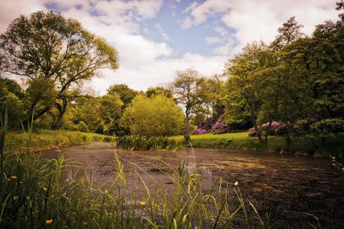 a dirt road next to a field with trees at Otterburn Castle in Newcastle upon Tyne