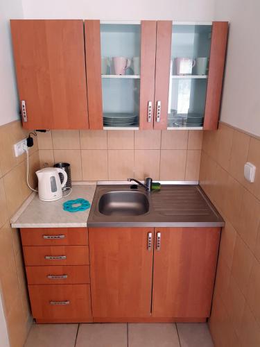a kitchen with a sink and a counter top at Autocamp Slunce Žandov in Žandov