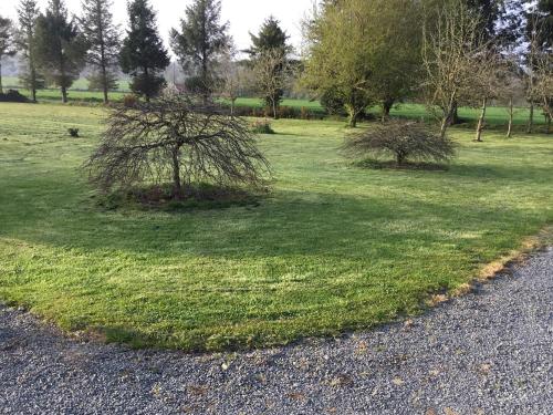 two trees sitting in the grass next to a road at The Magnolias B&B in Moyon
