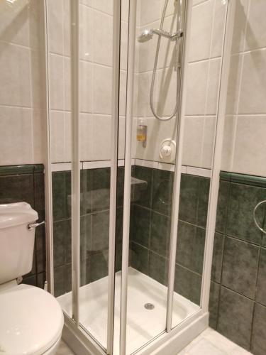 łazienka z prysznicem i toaletą w obiekcie Arundel Park Hotel w mieście Arundel