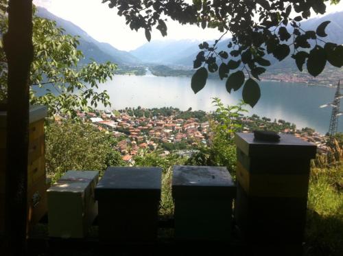 a view of a city and a lake at Agriturismo Badalone in Domaso